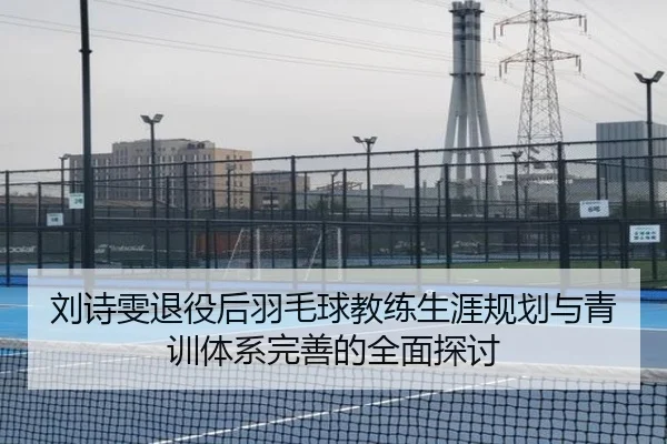 刘诗雯退役后羽毛球教练生涯规划与青训体系完善的全面探讨